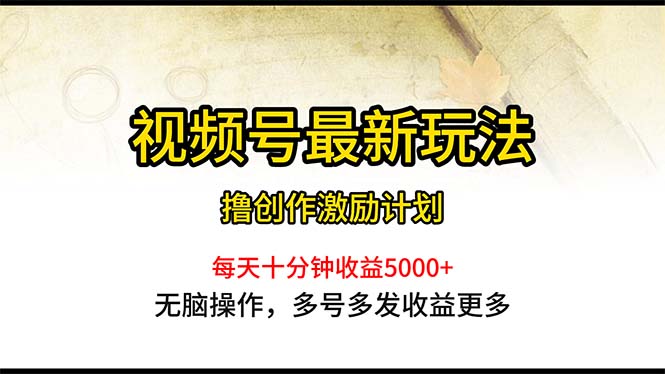 （10591期）视频号最新玩法，每日一小时月入5000+-他山创业网