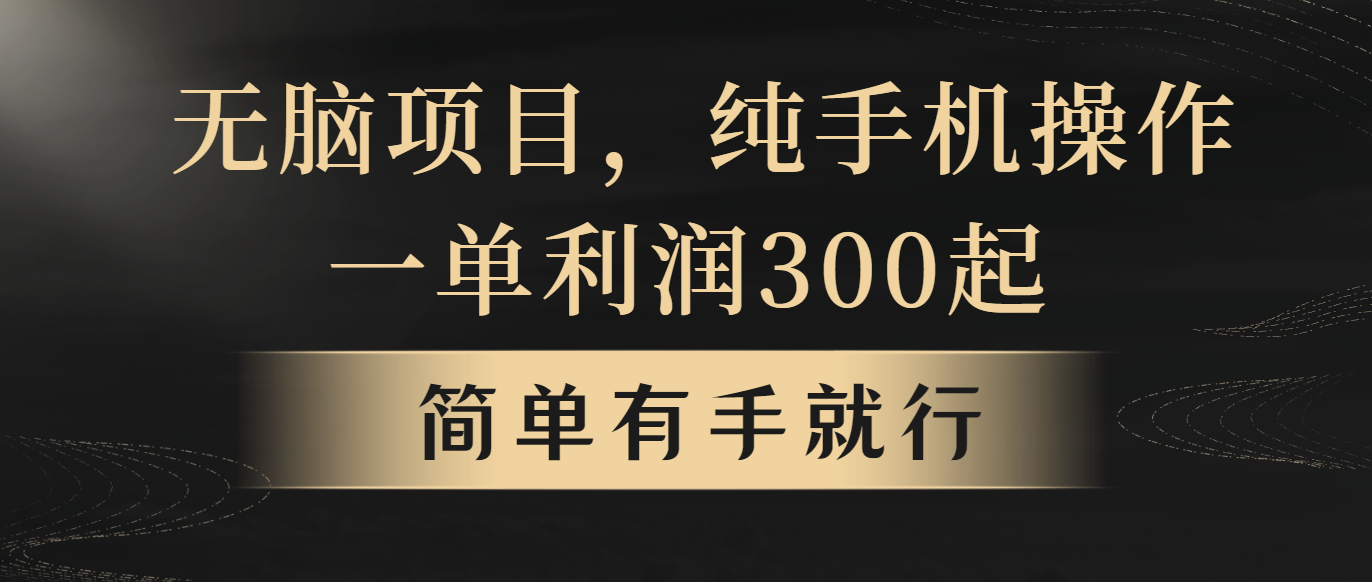 （10699期）无脑项目，一单几百块，轻松月入5w+，看完就能直接操作-他山创业网