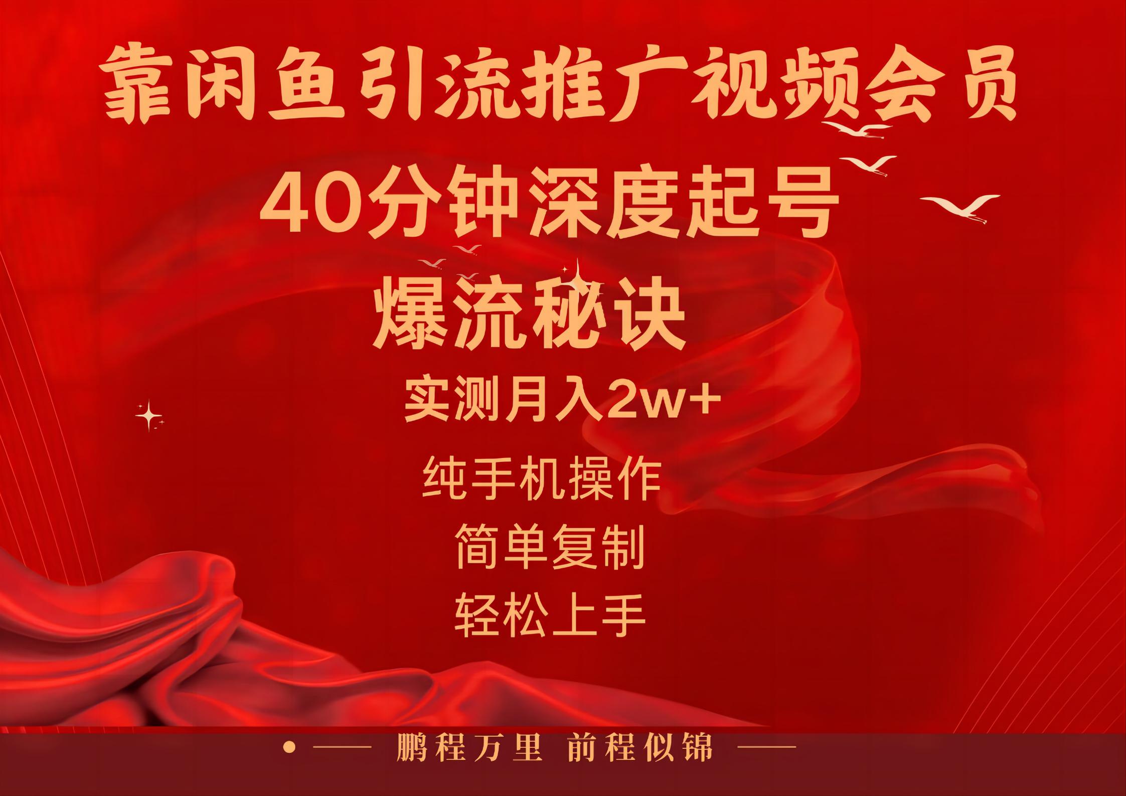 （10895期）闲鱼暴力引流推广视频会员，能做到日入2W+，操作简单-他山创业网