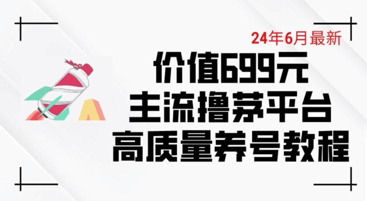 6月最新价值699的主流撸茅台平台精品养号下车攻略-他山创业网