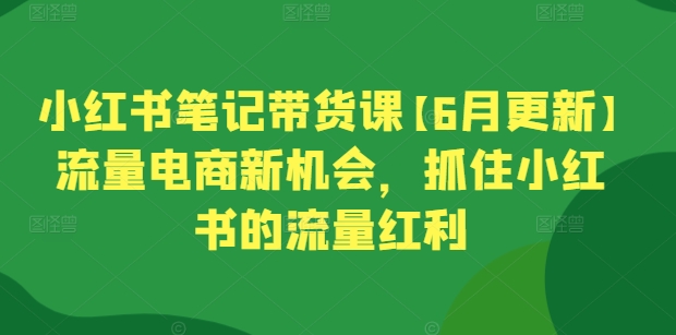 小红书笔记带货课【6月更新】流量电商新机会，抓住小红书的流量红利-他山创业网