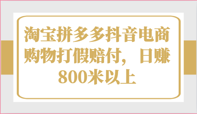 淘宝拼多多抖音电商购物打假赔付，日赚800米以上-他山创业网