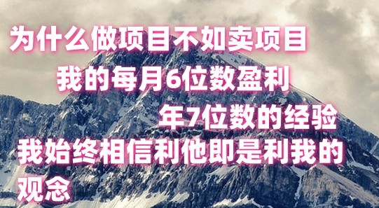 做项目不如卖项目，每月6位数盈利，年7位数经验-他山创业网