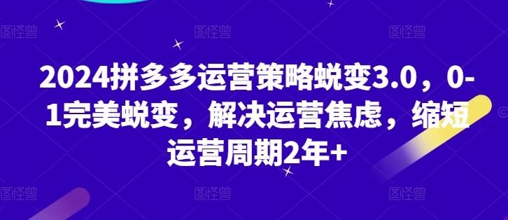 2024拼多多运营策略蜕变3.0，0-1完美蜕变，解决运营焦虑，缩短运营周期2年+-他山创业网