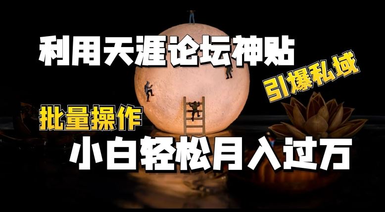 利用天涯论坛神贴，引爆私域，批量操作，小白轻松月入过w【揭秘】-他山创业网