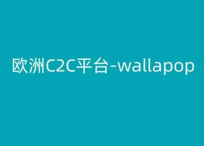 欧洲C2C平台-wallapop-kim跨境电商教程-他山创业网