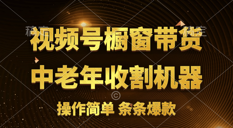 （11009期）[你的孩子成功取得高位]视频号最火爆赛道，橱窗带货，流量分成计划，条…-他山创业网