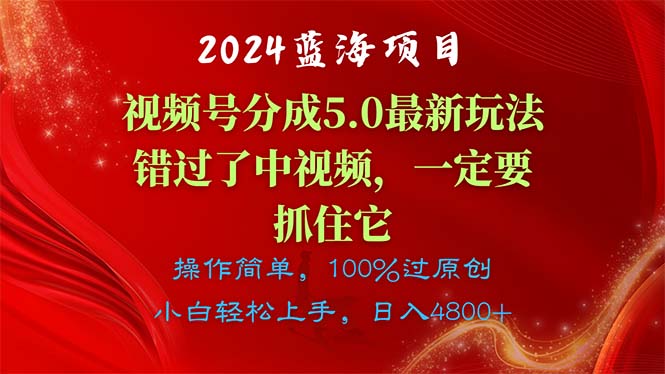 （11032期）2024蓝海项目，视频号分成计划5.0最新玩法，错过了中视频，一定要抓住…-他山创业网