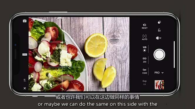 （11073期）iPhone 美食摄影-掌握美食摄影造型-构图和编辑艺术-21节课-中英字幕-他山创业网