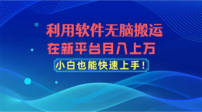 （11078期）利用软件无脑搬运，在新平台月入上万，小白也能快速上手-他山创业网