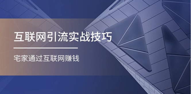 互联网引流实操技巧(适合微商，吸引宝妈)，宅家通过互联网赚钱（17节）-他山创业网