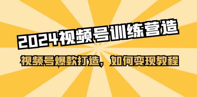 （11135期）2024视频号训练营，视频号爆款打造，如何变现教程（20节课）-他山创业网