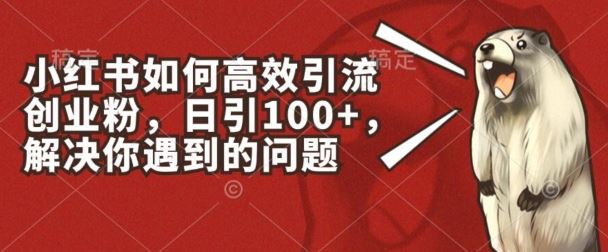 小红书如何高效引流创业粉，日引100+，解决你遇到的问题【揭秘】-他山创业网