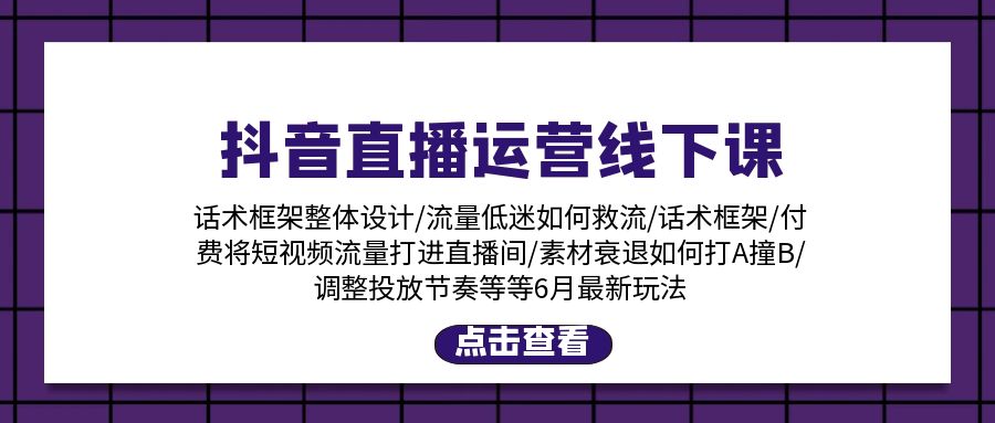 （11211期）抖音直播运营线下课：话术框架/付费流量直播间/素材A撞B/等6月新玩法-他山创业网