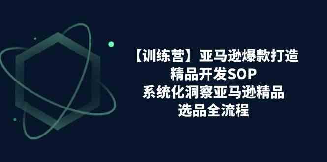 亚马逊爆款打造之精品开发SOP【训练营】，系统化洞察亚马逊精品选品全流程-他山创业网