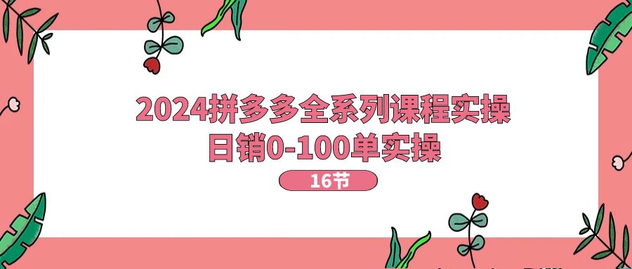 （11222期）2024拼多多全系列课程实操，日销0-100单实操【16节课】-他山创业网