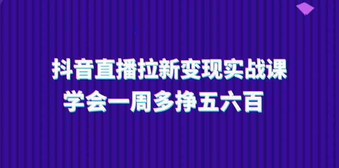 （11254期）抖音直播拉新变现实操课，学会一周多挣五六百（15节课）-他山创业网