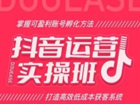 抖音运营实操班，掌握可盈利账号孵化方法，打造高效低成本获客系统-他山创业网