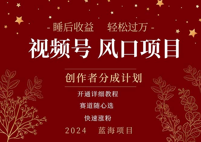 （11331期）拥有睡眠收益的微信视频号大风口项目，轻松月入过万+，多赛道选择，可…-他山创业网
