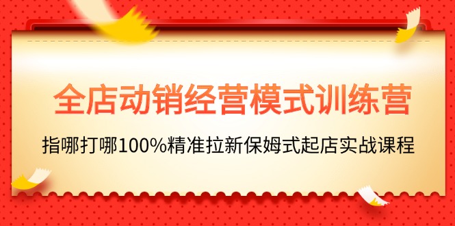 （11460期）全店动销-经营模式训练营，指哪打哪100%精准拉新保姆式起店实战课程-他山创业网