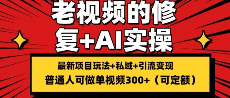 修复老视频的玩法，搬砖+引流的变现(可持久)，单条收益300+【揭秘】-他山创业网