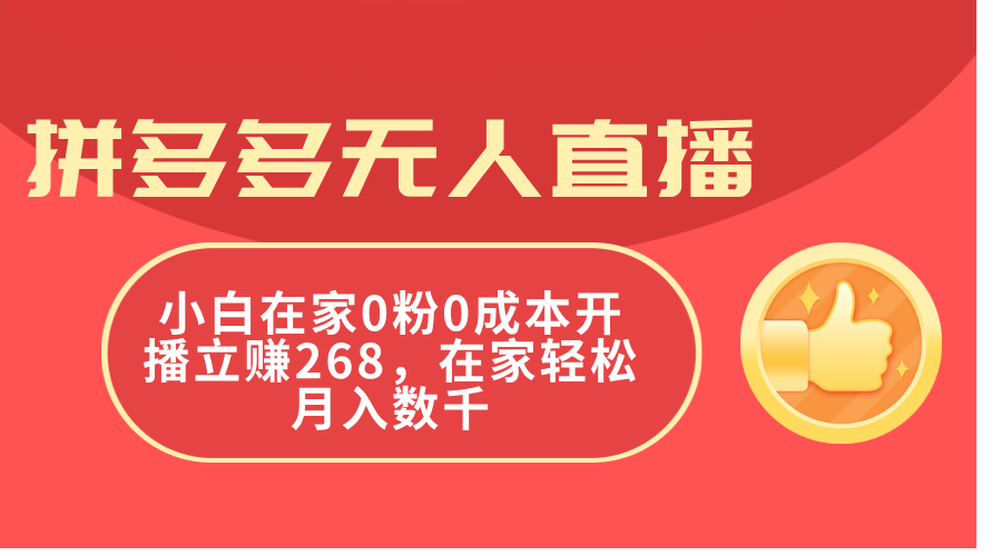 （11521期）拼多多无人直播，小白在家0粉0成本开播立赚268，在家轻松月入数千-他山创业网