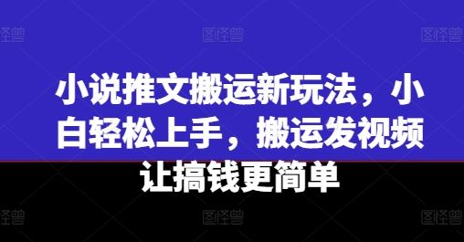小说推文搬运新玩法，小白轻松上手，搬运发视频让搞钱更简单-他山创业网