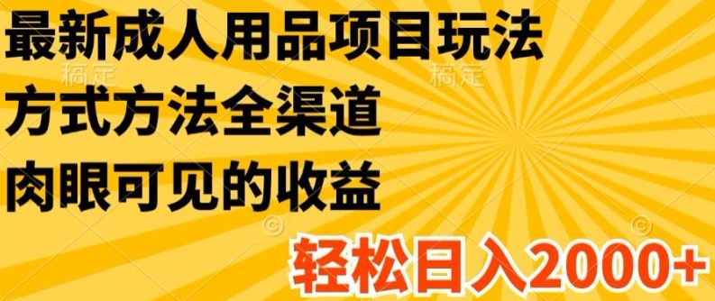 最新成人用品项目玩法，方式方法全渠道，轻松日入2K+【揭秘】-他山创业网