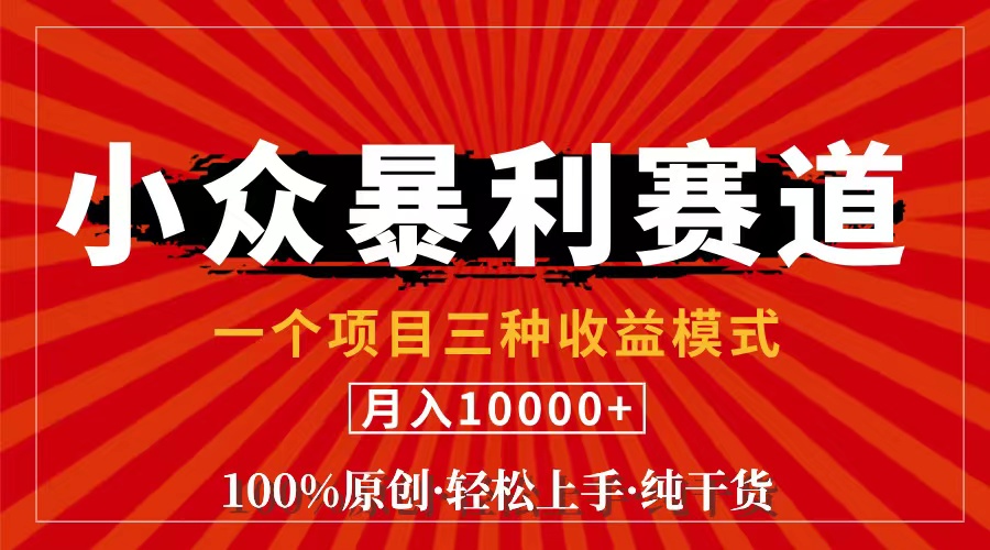 （11695期）视频号【中老年粉深信不疑】小众赛道 100%原创 手把手教学 新号3天收益…-他山创业网