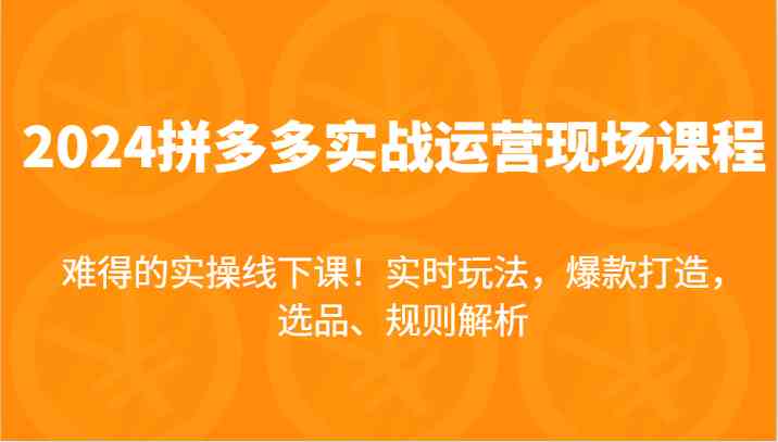 2024拼多多实战运营现场课，实时玩法，爆款打造，选品、规则解析，难得的实操线下课！-他山创业网