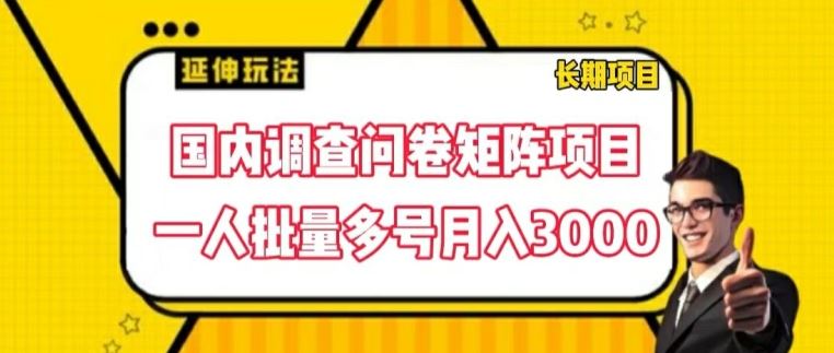 国内调查问卷矩阵项目，一人批量多号月入3000【揭秘】-他山创业网