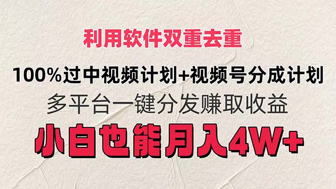 （11862期）利用软件双重去重，100%过中视频+视频号分成计划小白也可以月入4W+-他山创业网