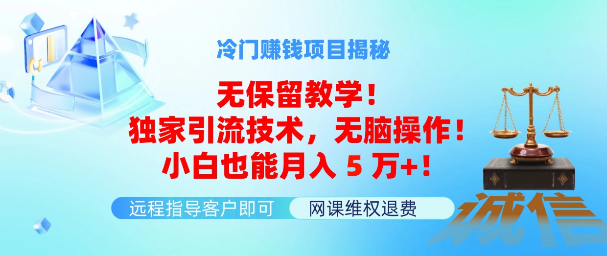 （11864期）冷门赚钱项目无保留教学！独家引流技术，无脑操作！小白也能月入5万+！-他山创业网