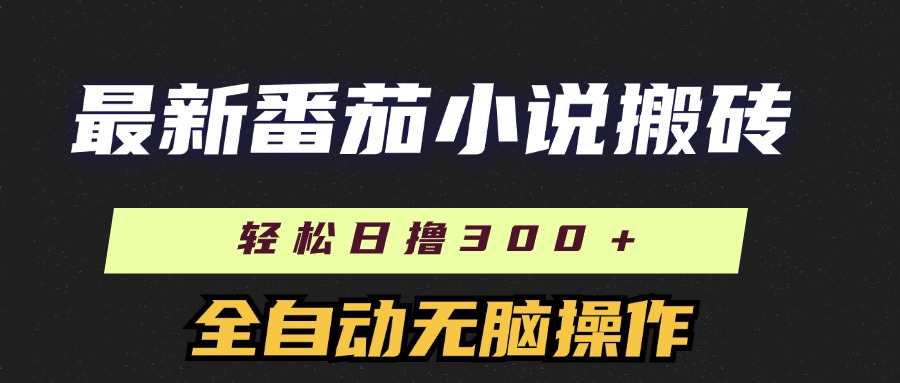 （11904期）最新番茄小说搬砖，日撸300＋！全自动操作，可矩阵放大-他山创业网