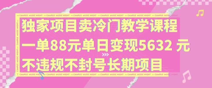 独家项目卖冷门教学课程一单88元单日变现5632元违规不封号长期项目【揭秘】-他山创业网