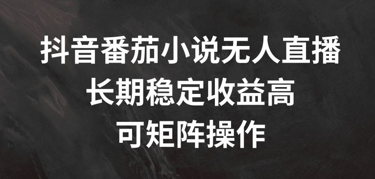 抖音番茄小说无人直播，长期稳定收益高，可矩阵操作【揭秘】-他山创业网