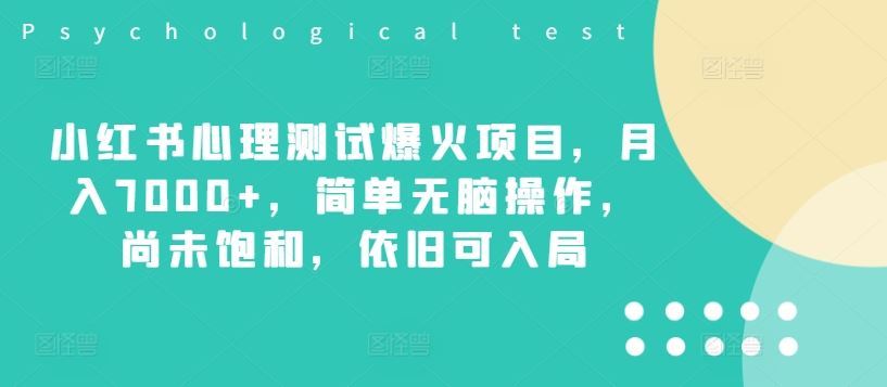 小红书心理测试爆火项目，月入7000+，简单无脑操作，尚未饱和，依旧可入局-他山创业网