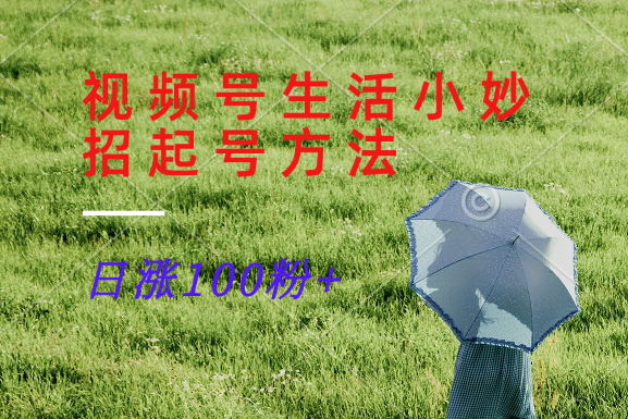 视频号生活小妙招分享赛道， 起号涨粉新方法，日涨100粉-他山创业网