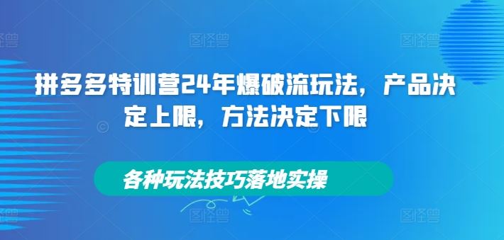 拼多多特训营24年爆破流玩法，产品决定上限，方法决定下限，各种玩法技巧落地实操-他山创业网