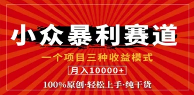 视频号最新爆火赛道，三种可收益模式，0粉新号条条原创条条热门 日入1000+-他山创业网