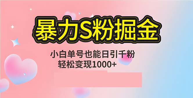 单人单机日引千粉，变现1000+，S粉流量掘金计划攻略-他山创业网