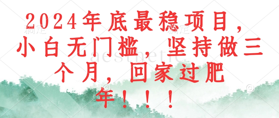（12970期）2024年底最稳项目，小白无门槛，坚持做三个月，回家过肥年！！！-他山创业网