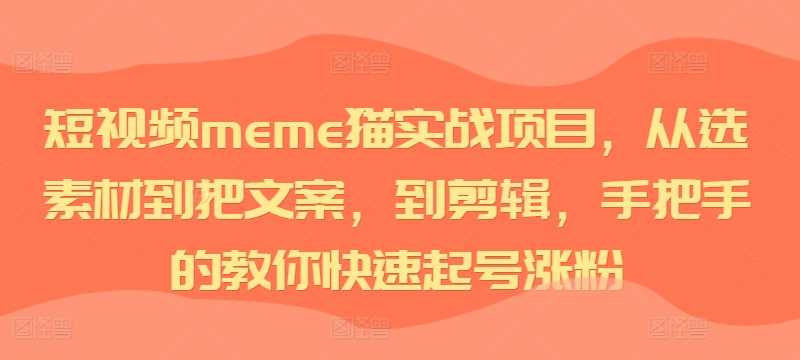 短视频meme猫实战项目，从选素材到把文案，到剪辑，手把手的教你快速起号涨粉-他山创业网