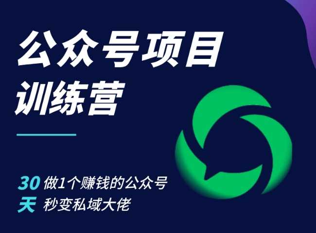 公众号项目训练营，30天做1个赚钱的公众号，秒变私域大佬-他山创业网
