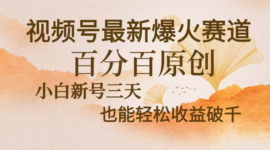 （13225期）视频号最新爆火赛道，中老年粉深信不疑，百分百原创，新号三天收益轻松…-他山创业网