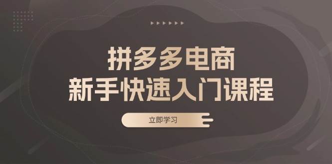 （13289期）拼多多电商新手快速入门课程：涵盖基础、实战与选款，助力小白轻松上手-他山创业网