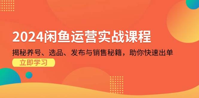 （13290期）2024闲鱼运营实战课程：揭秘养号、选品、发布与销售秘籍，助你快速出单-他山创业网