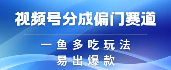 视频号创作者分成计划偏门类目，容易爆流，实拍内容简单易做【揭秘】-他山创业网