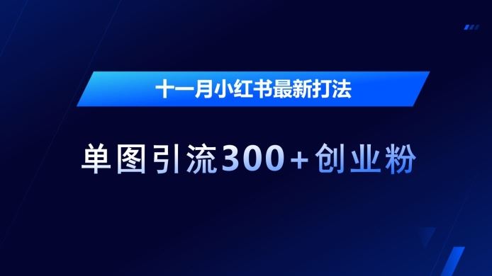 十一月小红书最新打法，单图引流300+创业粉【揭秘】-他山创业网