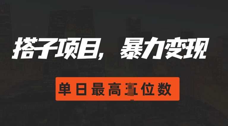 2024搭子玩法，0门槛，暴力变现，单日最高破四位数【揭秘】-他山创业网